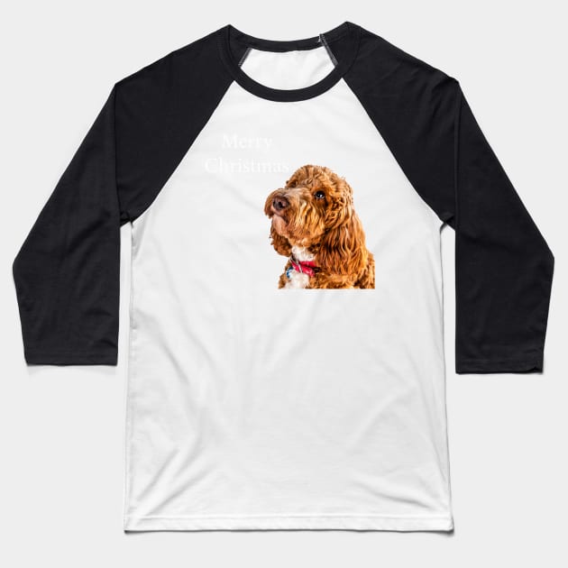 Cockapoo Merry Christmas Baseball T-Shirt by tommysphotos